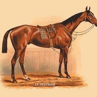 Le Destrier by L. Penicaut