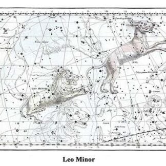 Leo Minor by Alexander Jamieson