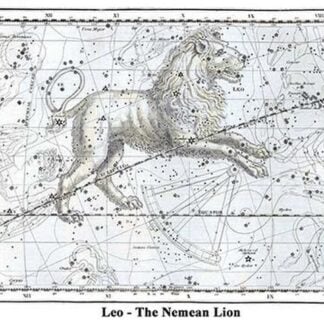 Leo - The Nemean Lion by Alexander Jamieson