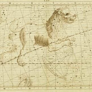 Leo the Lion by Sir John Flamsteed