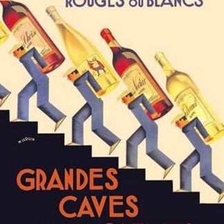 Les Meilleurs Vins by Andre Wilquin