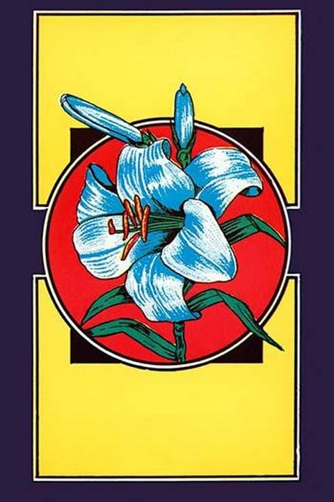 Lily Flower Broom Label