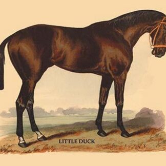 Little Duck by L. Penicaut