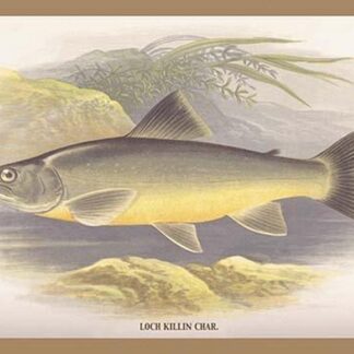 Loch Killin Char. by A.F. Lydon