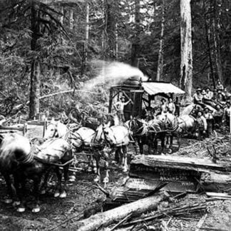 Loggers and Their Logs by Darius Kinsey