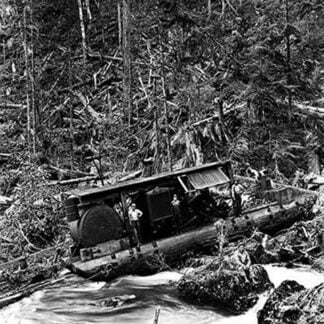 Logging Boat in a Tangle by Darius Kinsey