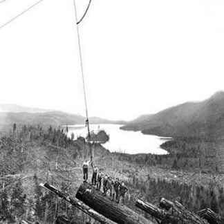 Logging Scene by Darius Kinsey