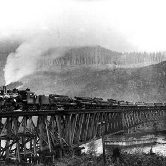 Logs to Market by Darius Kinsey