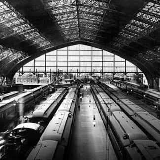 Looking Out the Reading Railroad Shedhouse