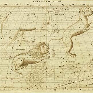 Lynx & Leo Minor by Sir John Flamsteed
