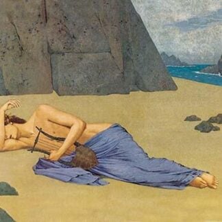 Lyrist Asleep on Beach