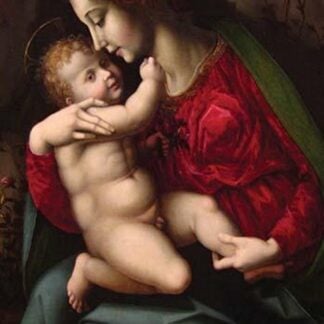 Madonna & Child by Bachiacca