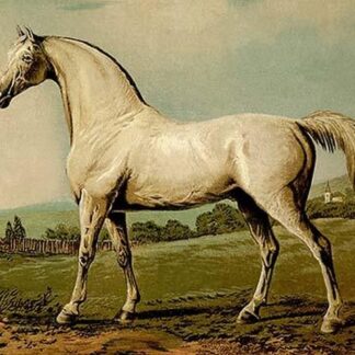 Mambrino by Samuel Sidney