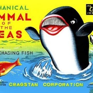 Mammal of the Seas: Whale Chasing Fish