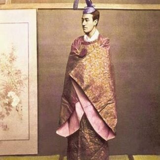 Man Wearing a Court Costume by Von Stillfried