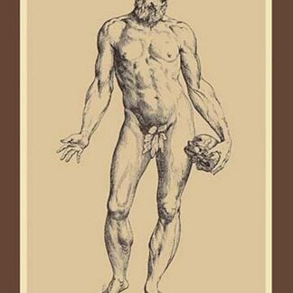Man by Andreas Vesalius