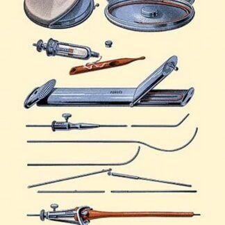 Mandrils by Jules Porges