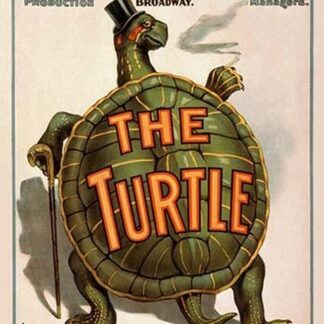Manhattan Theatre Production 'The Turtle'