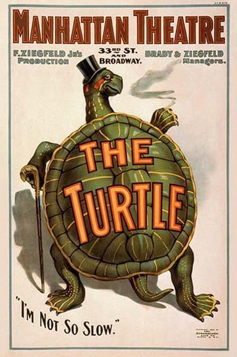 Manhattan Theatre Production 'The Turtle'