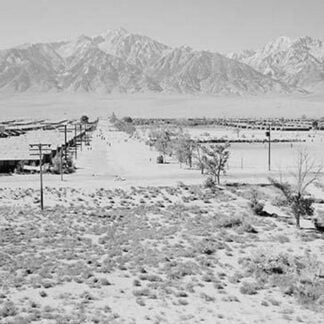 Manzanar from Guard Tower