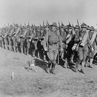 Marching US Infantry in Texas as a mascot dog is near the head of the column