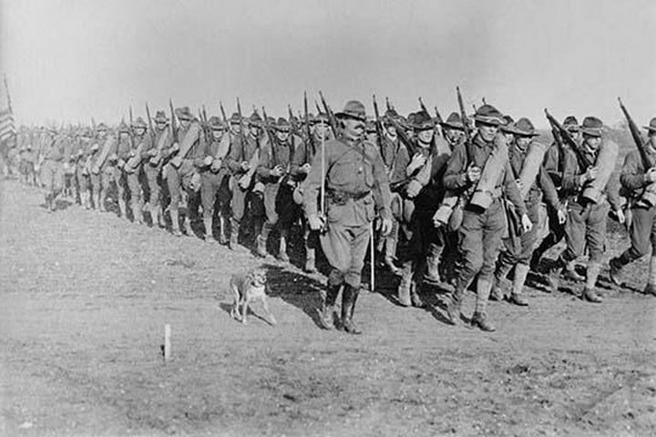 Marching US Infantry in Texas as a mascot dog is near the head of the column