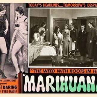 Marihuana: The Weed With Roots in Hell