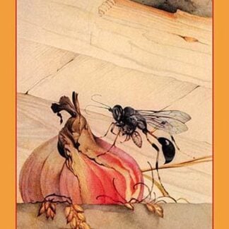 Mason-Wasp by Edward Detmold