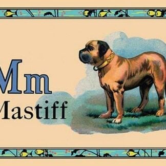 Mastiff