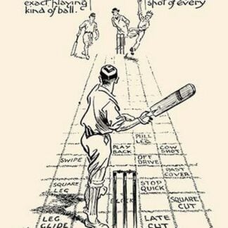 Matting Wickets by RIP