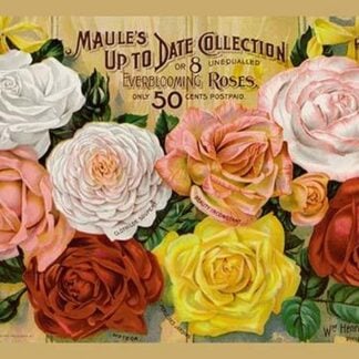 Maule's Up to Date Collection