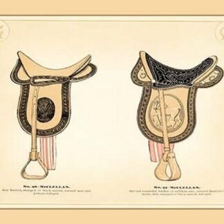 McClellan Saddles #2