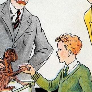 Meeting the Monkey by Julia Letheld Hahn