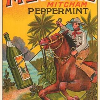 Menthe Peppermint