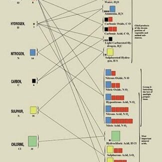 Metalloids And Their Compounds by Edward L. Youmans