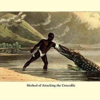 Method of Attacking the Crocodile