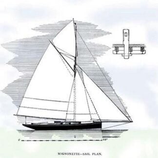 Mignonette by Charles P. Kunhardt