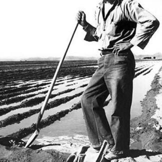 Migrant Irrigator by Dorothea Lange