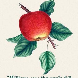 Millions Saw the Apple Fall by Bernard Baruch