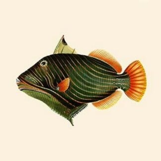 Mol-Kotah - Red Potobarah - Rice Pounder by John Whitchurch Bennett