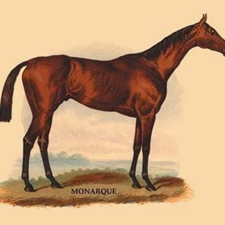 Monarque by L. Penicaut