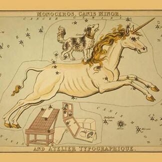 Monoceros