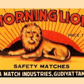 Morning Lion