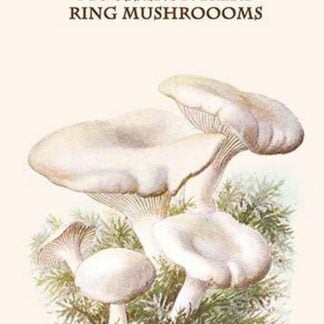 Mousseron Fairy Ring Mushroooms By Edmund Michael