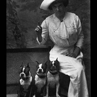 Mrs. Rhoades and Her Three Boston Terriers