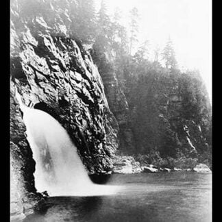 Mt. Mitchell Reservation