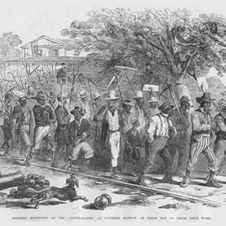 Mustering Contrabands at Fortress Monroe by Frank Leslie