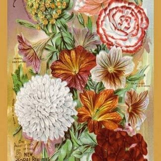 My Bouquet Collection of Five New Floral Beauties