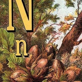 N for the Nut that he cracks with a Grin by Edmund Evans