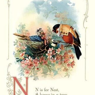 N is for Nest